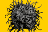 CLOTS 