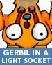 Gerbil in a Light Socket