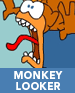Monkey Looker