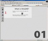 Learn about the WinLIKE Editor